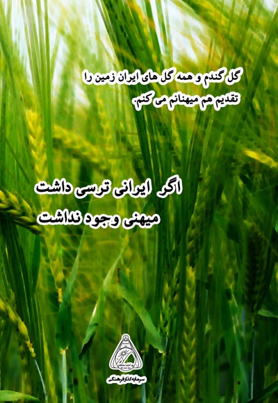 وقتی گندم ها گل می کنند